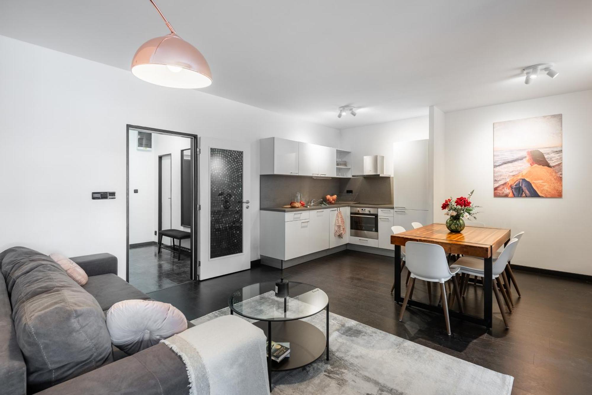 Spacious Apartments Near Karlin Square براغ المظهر الخارجي الصورة